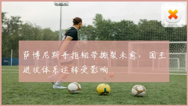萨博尼斯手指韧带撕裂未愈，国王进攻体系运转受影响
